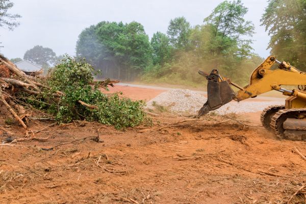 Cost of Forestry Mulching Service in Bloomington
