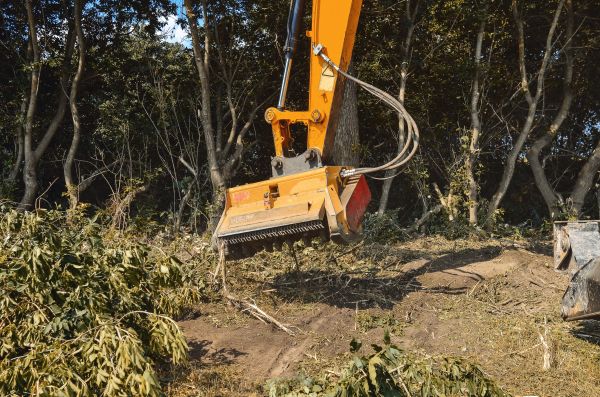 Cost of Brush Removal Service in Bloomington