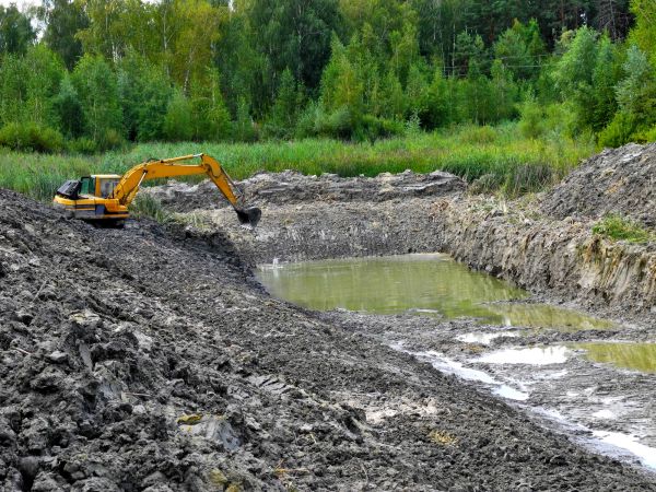 Cost of Lake Lot Clearing in Bloomington
