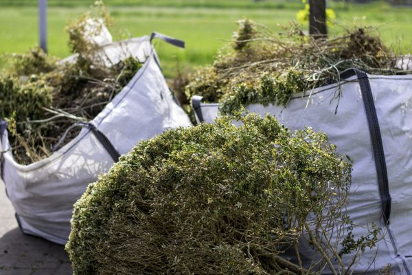 Cost of Bushes Clearing in Bloomington
