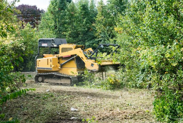 Cost of Pathway Clearing in Bloomington