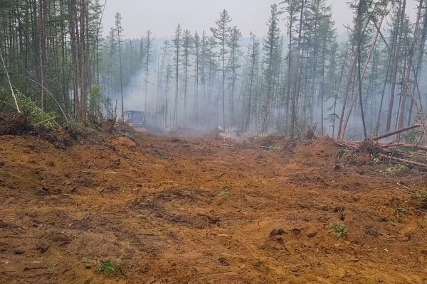 Cost of Hill Clearing in Bloomington