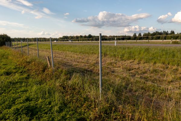 Cost of Property Line Clearing in Bloomington