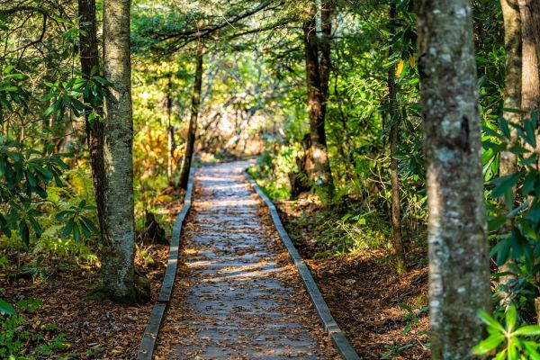 Cost of Trail Clearing in Bloomington