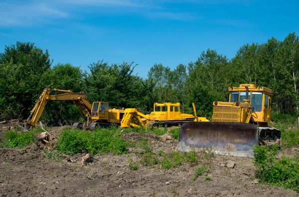 Cost of Bulldozer Clearing in Bloomington