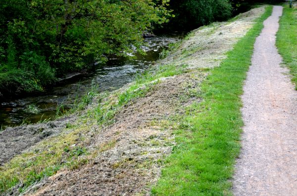 Cost of Trail Cutting in Bloomington